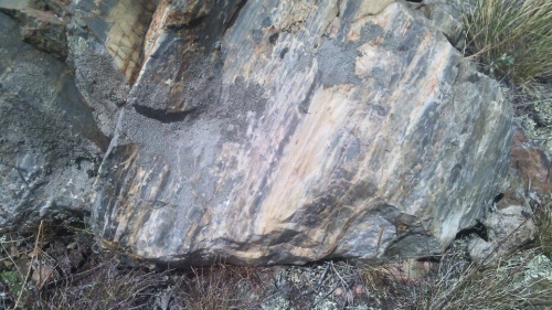 Гигантские зелёные валуны для ландшафтного дизайна весом более 5 тонн купить в Чебаркуле