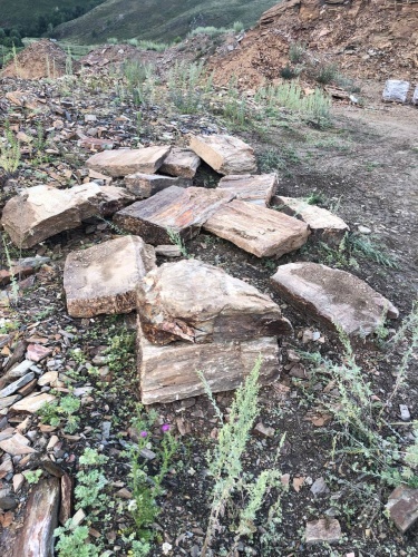 Плитняк кора дерева 50-100мм для пошаговых дорожек купить в Чебаркуле